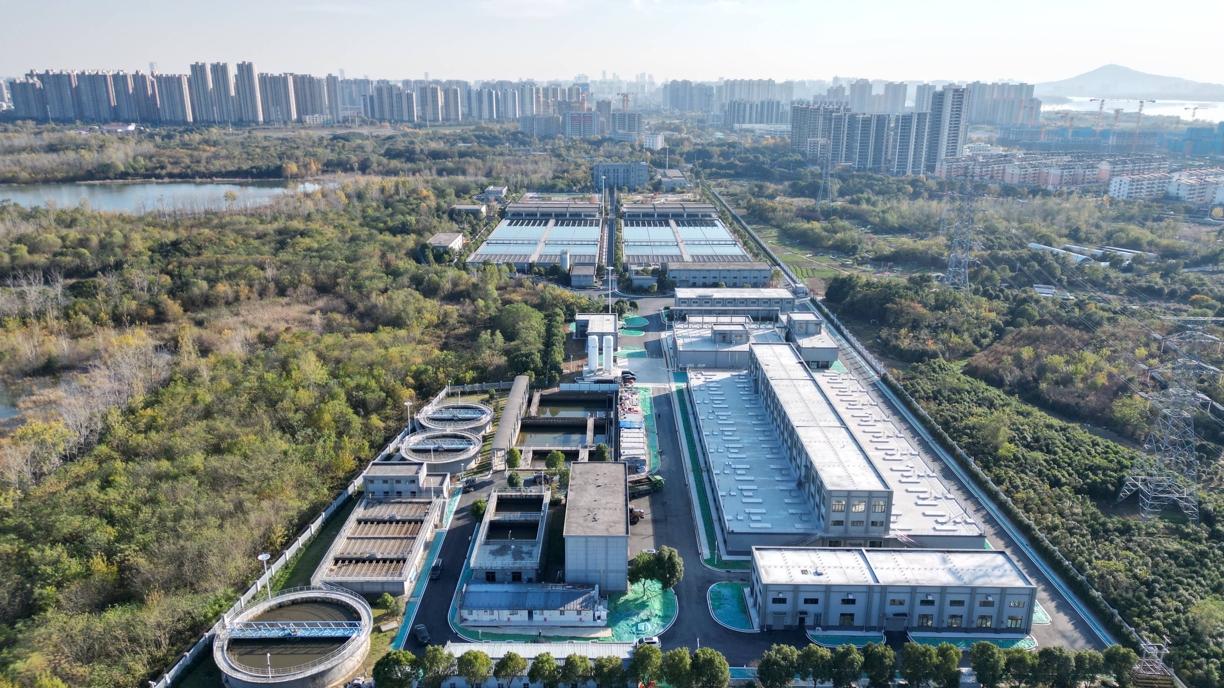 台南市合肥专业企业价值增长(合肥市重点企业产业目录)