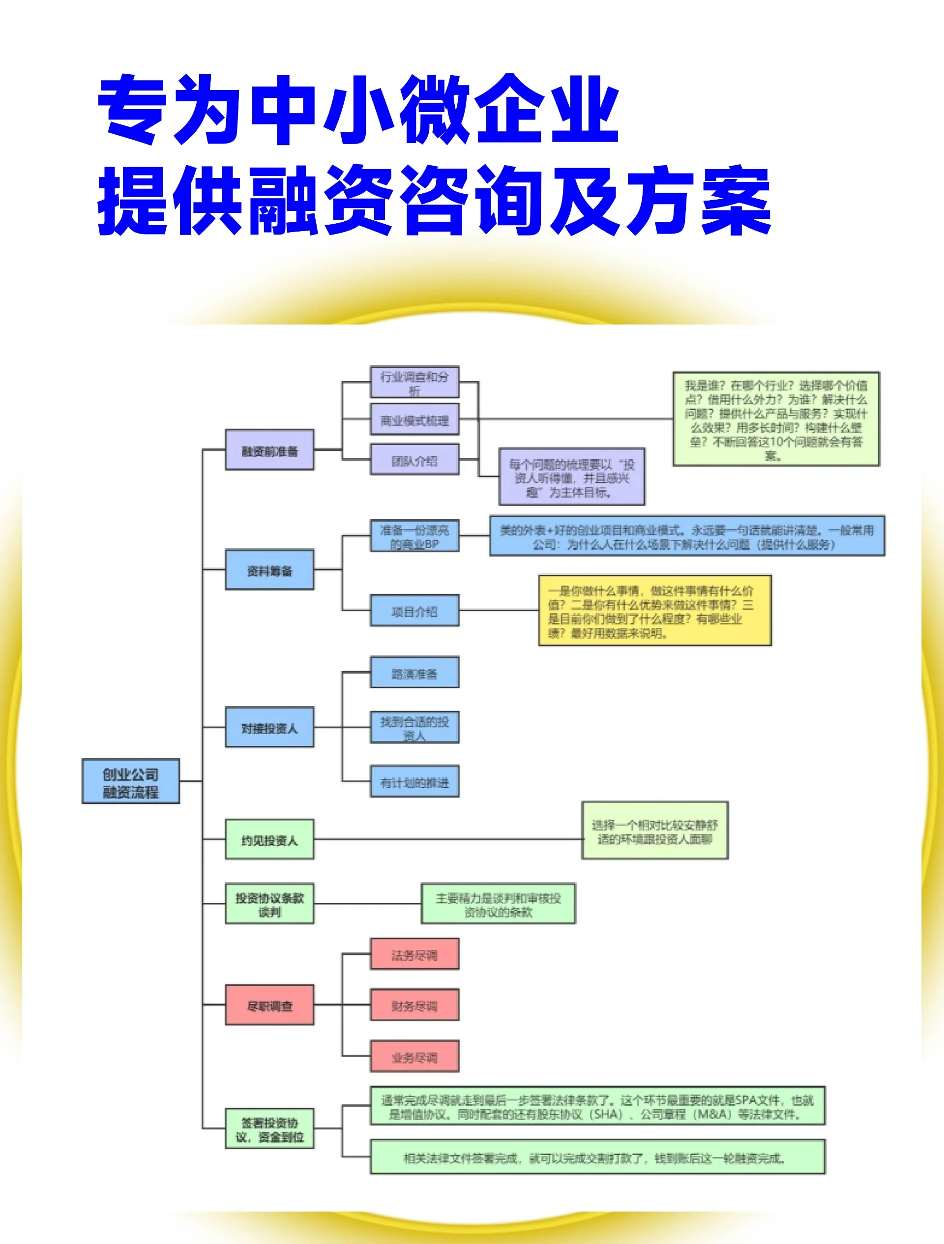 台南市宠物企业资金管理(宠物管理机构叫什么)
