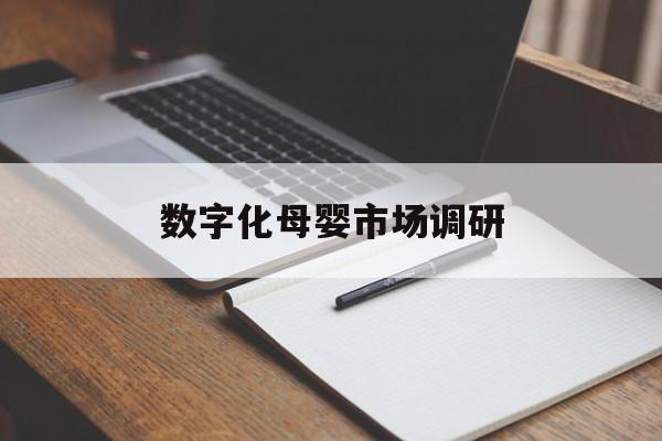 台南市数字化母婴市场调研(数字化母婴市场调研报告)